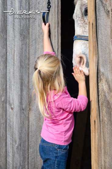 Cute little girl putting away horse at the barn door.